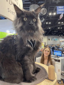 The Pet Industry: Observations from Global...