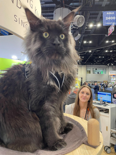 The Pet Industry: Observations from Global...