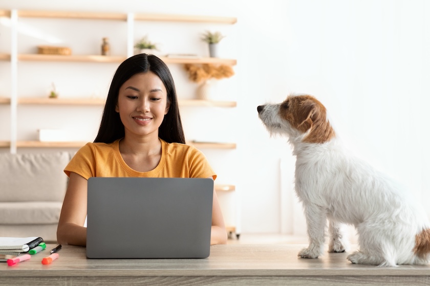 Find Your Audience with Pinterest SEO...