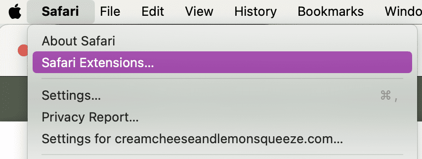 Safari dropdown menu on a computer interface displaying "Safari Extensions" highlighted in purple, along with About Safari, Settings, and Privacy Report.