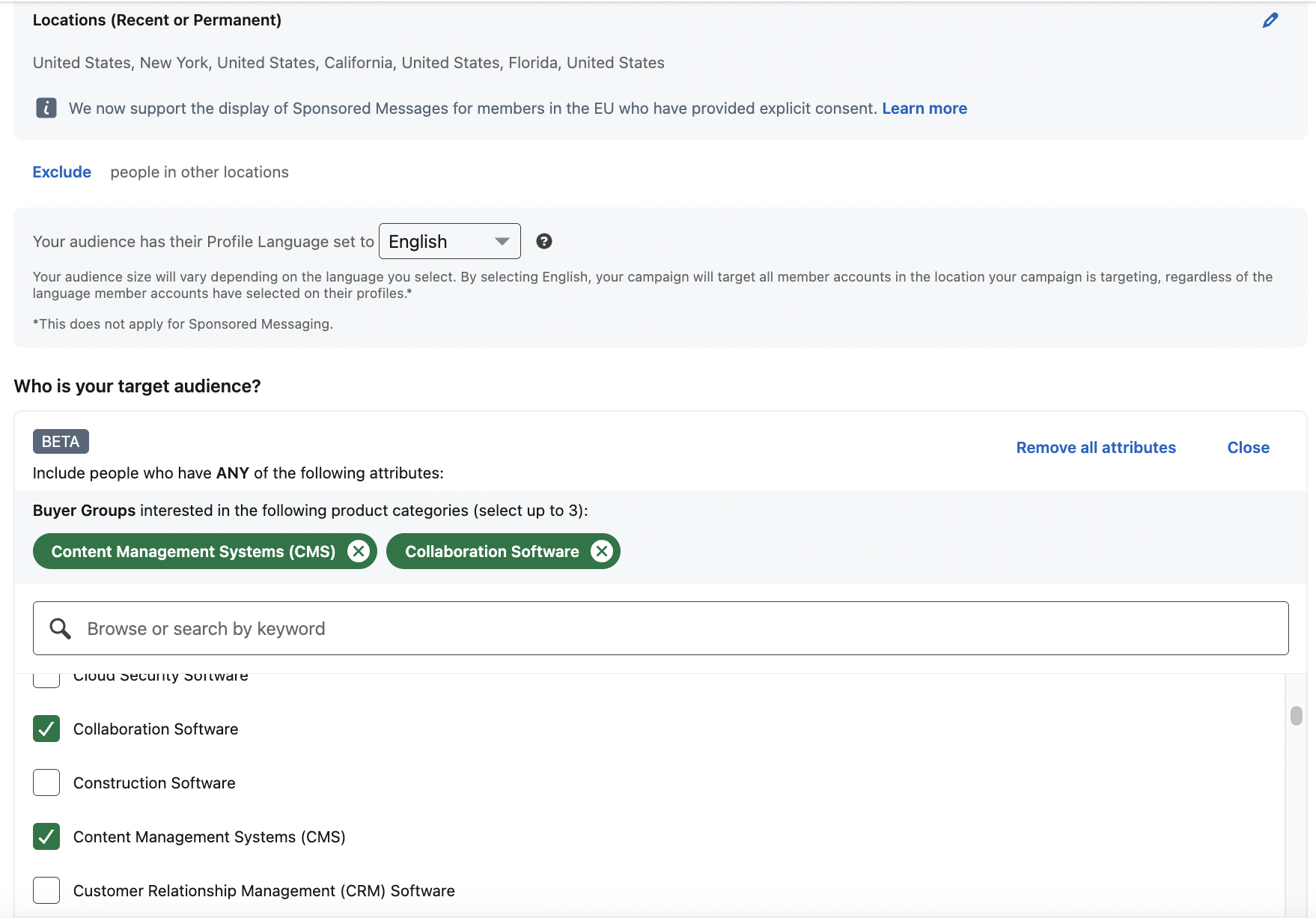 LinkedIn campaign setup page asking "Who is your target audience?" and showing a search field and different buyer group options