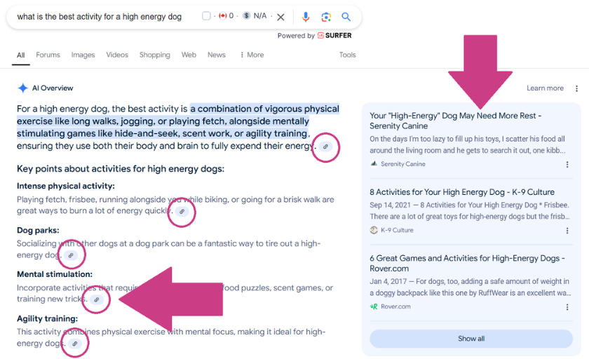 screenshot of ai overview in google search | Letter to the BlogPaws Community: Don’t Worry, Blogging is NOT Dead!