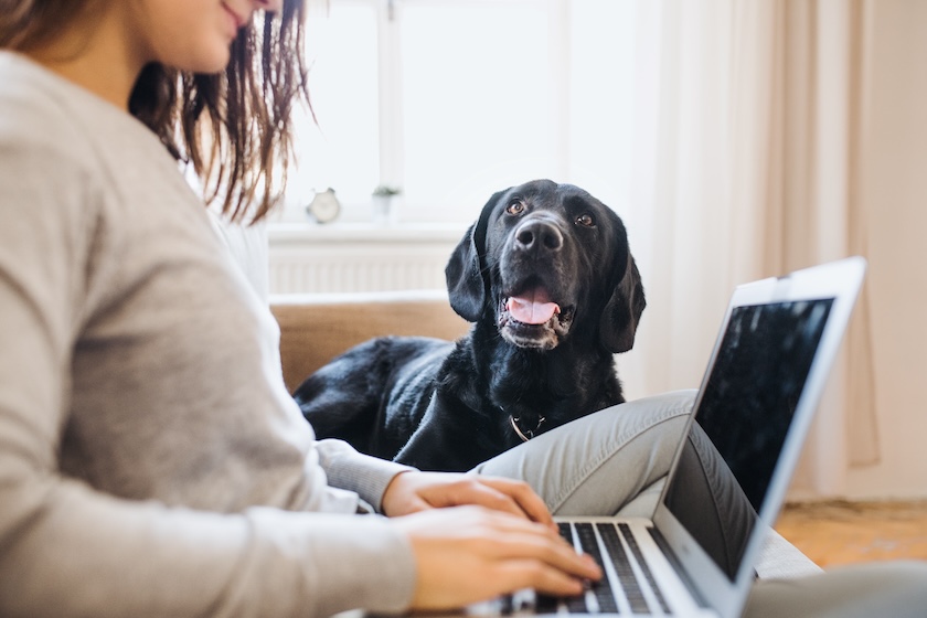 AI Prompting Tips to Help Small...
